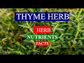 THYME HERB  -   HEALTH , MEDICAL BENEFITS and NUTRIENTS FACTS