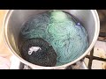 dyepot weekly 504 dyeing a sock blank