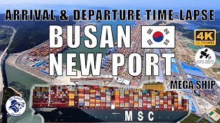 MEGA-SHIP IN BUSAN NEW PORT - SOUTH KOREA - ARRIVAL \u0026 DEPARTURE TIMELAPSE 4K UHD