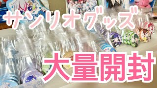 【すたぽら】 サンリオコラボグッズ開封