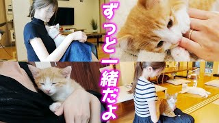 赤ちゃんの頃から現在でもママに甘える長男猫が可愛くて可愛くて…♡[茶トラのクラちゃん]