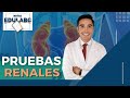 🔬 Laboratorio Clínico: Pruebas renales | 📝  Notas EduLabC