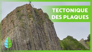 Qu'est-ce que les PLAQUES TECTONIQUES ? 🌍 (Définition, Types et Conséquences)