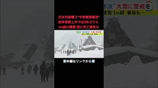 ⬆️本編はリンクから⬆️犬も防寒対策は万全…“今季最強寒波”で岐阜の山地を中心に大雪 郡上市長滝では101センチの積雪観測 平年比の約2.4倍#shorts