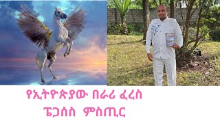 የኢትዮጵያው በራሪ ፈረስ ፔጋሰስ በሰማይ ላይ