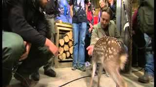 BBC Springwatch Unsprung 2013 - Episode 1