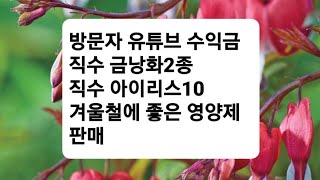 유튜브구독수익금, 네델란드 수입 금낭화2종,아이리스10종, 작약1종, 겨울 영양제1종판매