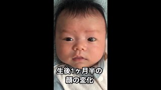 生後1ヶ月半の顔の変化