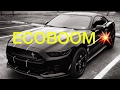 Ecoboom! How to prevent your Ecoboost Mustang from Blowing Up and next steps!