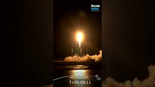 SpaceX launches more Starlink satellites #SpaceX #Shorts #spacecoast #brevardcounty