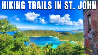 🥾 Best Hiking Trails in St. John, US Virgin Islands | Ultimate Trail Guide 🇻🇮