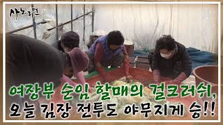 여장부 순임 할매의 걸크러쉬, 오늘 김장 전투도 야무지게 승!! MBN 221223 방송