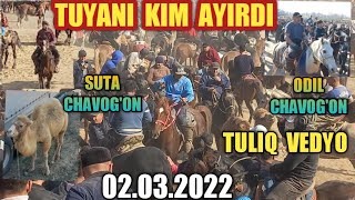 TERMIZDA  JUDA  KATTA  KUPKARI  TULIQ  VEDYOSI  TUY  EGANI  PUPI  CHAVOG'ON  AYIRDI