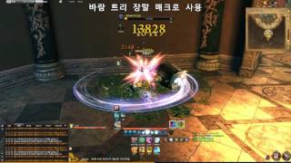 [SJred]Blade and Soul 2016 Macro 활용 영상.