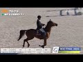 【rrc final 2024】障害馬術競技（retired racehorse cup・引退競走馬杯）