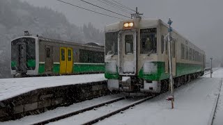 会津川口駅で並ぶ東北地域本社色キハ110とキハE120