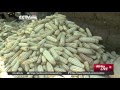 49 million people in southern Africa to be affected by drought