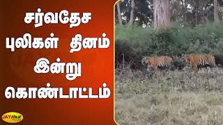 சர்வதேச புலிகள் தினம் இன்று கொண்டாட்டம் | International Tiger Day