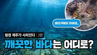 [청정 제주가 사라진다] 제주 바닷속에서 중국산 라면봉지를 건졌다