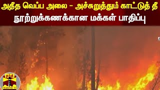 அதீத வெப்ப அலை - அச்சுறுத்தும் காட்டுத் தீ.. நூற்றுக்கணக்கான மக்கள் பாதிப்பு.! Heatwaves | Fire