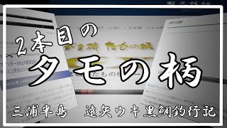 三浦半島　遠矢ウキ黒鯛釣行記　2本目のタモの柄