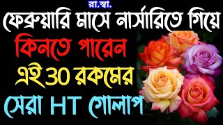 সেরা 30টি HT গোলাপের ভ্যারাইটির নাম জানুন যা আপনার বাগানকে স্বর্গ করে দেবে Name of Top 30 No HT Rose