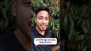 ধৈর্য ধরে কাজ চালিয়ে যান আজকে নতুন একদিন বড় হবে না ইনশাল্লাহ।