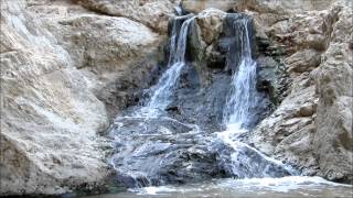 נחל עין בוקק בואך ים המלח 2013 Ein Bokek waterfal ;judean desert