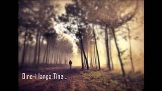 Tudor Oleniuc - Bine-i langa Tine...