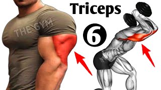 6 Best Exercises To Get Big Triceps Workout - THE GYM