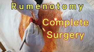 You will be surprised | Rumenotomy