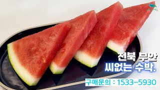 [신바람 농산물 협력농가 판매상품 1533-5930]부안 씨없는 수박 5kg~9kg