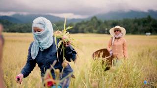 A Typical Day at Camp KITE MANJA in Ziro Festival of Music