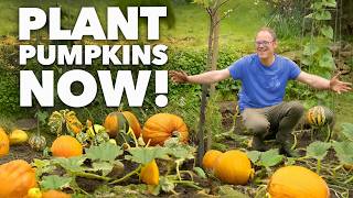 How to Grow Amazing Pumpkins and Winter Squash