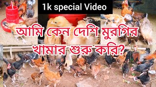 আমার দেশি মুরগির খামার Pure Desi Chicken farming