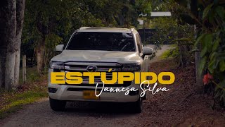 VANNESA SILVA - Estúpido ( Video Oficial )