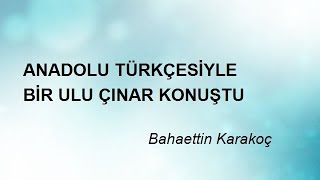 ANADOLU TÜRKÇESİYLE BİR ULU ÇINAR KONUŞTU - Bahaettin Karakoç