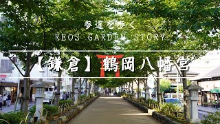 【鎌倉】鶴岡八幡宮 参道を歩く ～Reos garden story～