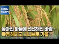 높아진 하늘에 선선해진 바람…폭염 헤치고 시나브로 가을 [MBN 뉴스센터]