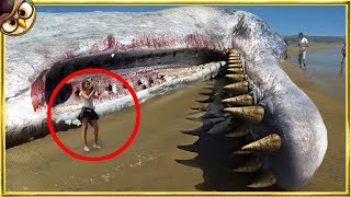 50 Terrifying Things Washed Up on Beaches