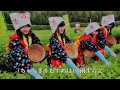 【新曲】「ちゃっきり節」 竹川美子 カラオケ 2018年5月2日発売