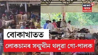 Bokakhat News | বোকাখাতৰ বিহৰা গৰু বজাৰত লোকচানৰ সন্মুখীন হৈছে থলুৱা গো-পালকসকল | N18V