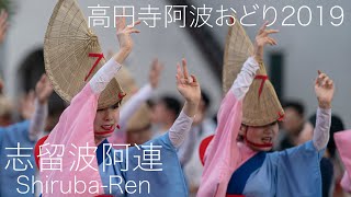 高円寺阿波おどり・志留波阿連_20190824 Awaodori in Koenji Japan