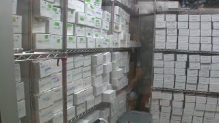 Travis County gets more than $500K to help sift through potentially botched Austin Police DNA cases