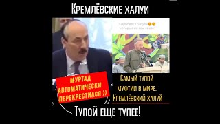 Самый тупой муфтий и глава РД. Кремлёвские халуи.