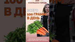 Морковь каждый день: что будет с организмом через месяц 🥕 #здоровье #пп #морковь