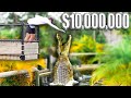 He Spent $10,000,000 on His Crocodiles!