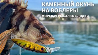 Каменный окунь с лодки на воблеры. Рыбалка на Черном море.