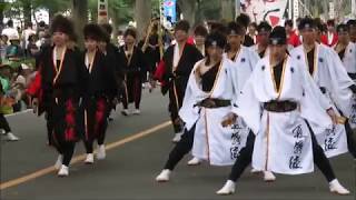 2017彩夏祭よさこい「夏舞徒」