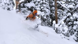 Bridger Bowl Daily Video 01-02-2025